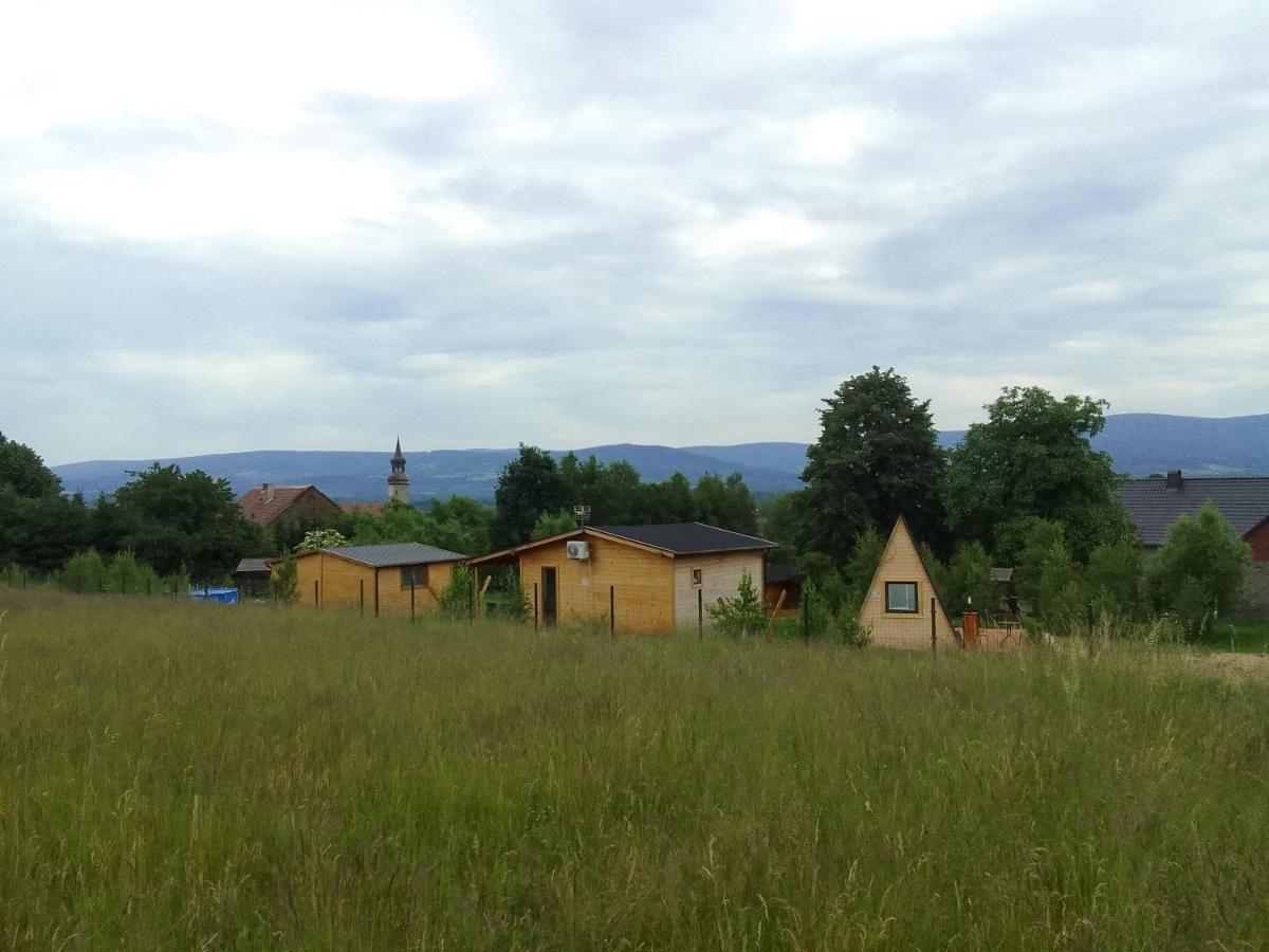 Szalas W Gorach Izerskich, Blisko Swieradow Zdroj I Zamek Czocha, Agroturystyka, Ogrzewanie, Klimatyzacja , Plac Zabaw, Ognisko Z Rusztem I Kijkami, Zywe Zwierzeta, Latem Basen Mirsk Luaran gambar
